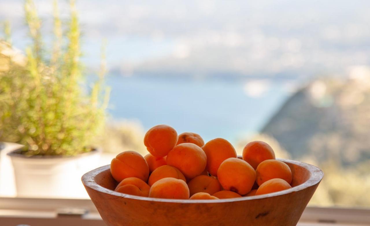 Lorantina Sea View House Holidays In Corfu Country house