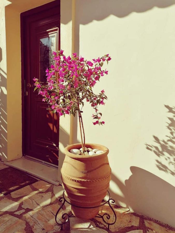 Lorantina Sea View House Holidays In Corfu Spartylas