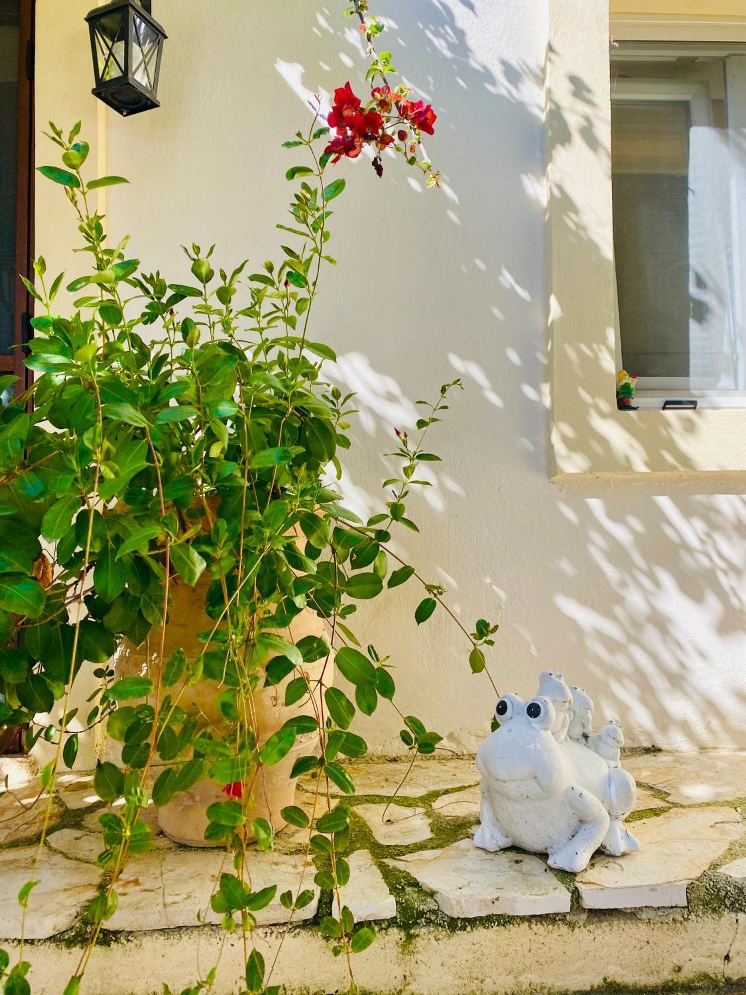 Lorantina Sea View House Holidays In Corfu * Spartylas